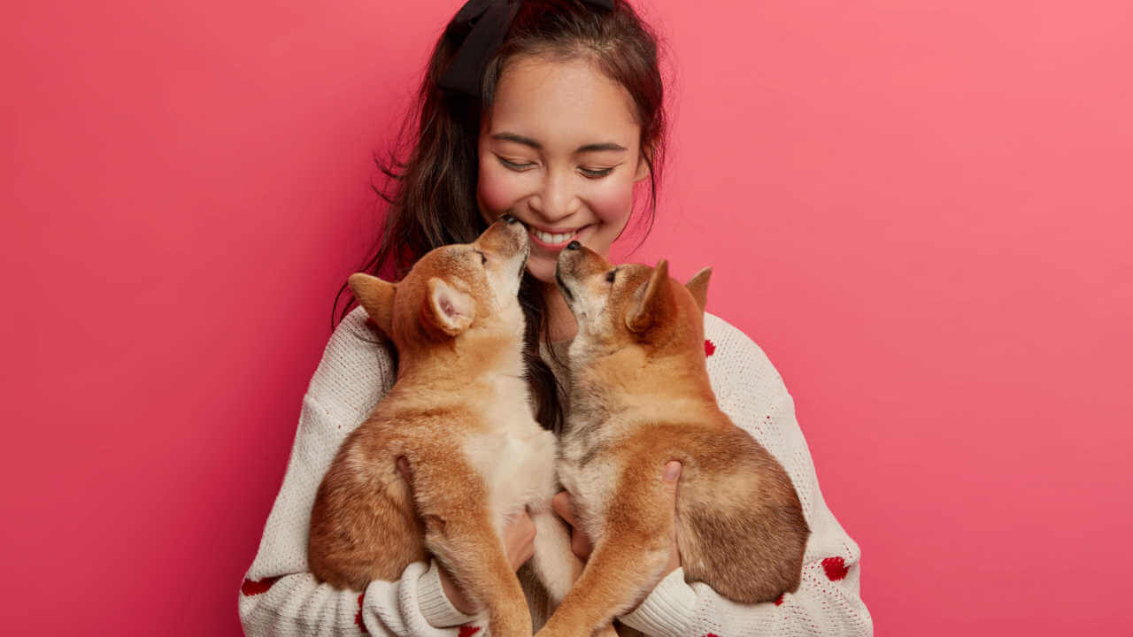 Zodíaco dos pets: a personalidade dos bichinhos de cada signo