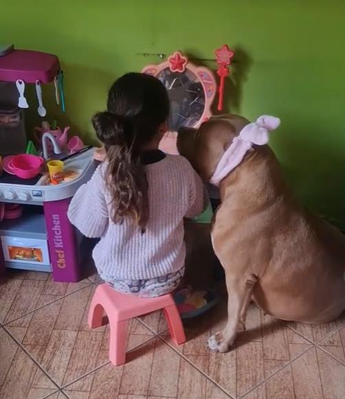 Menina maquiando cachorra