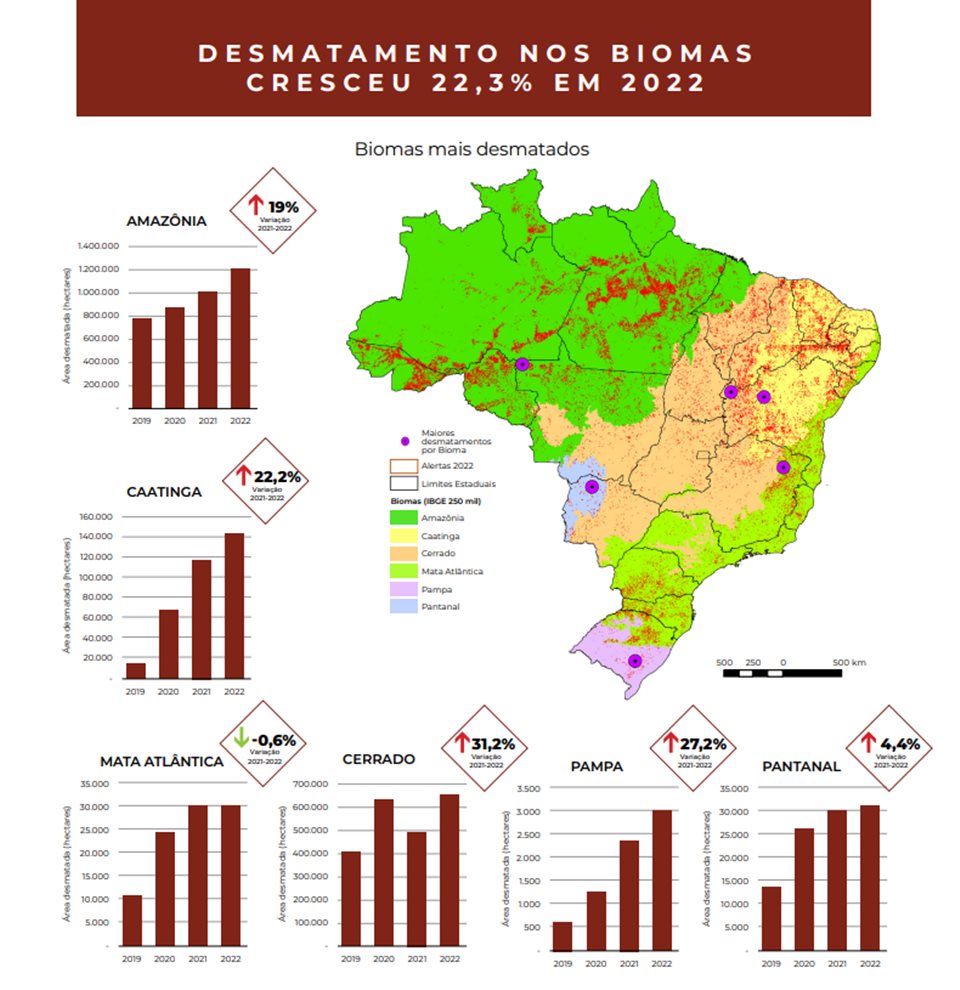 Gráfico mostra Desmatamento no Brasil em 2022 - Metrópoles