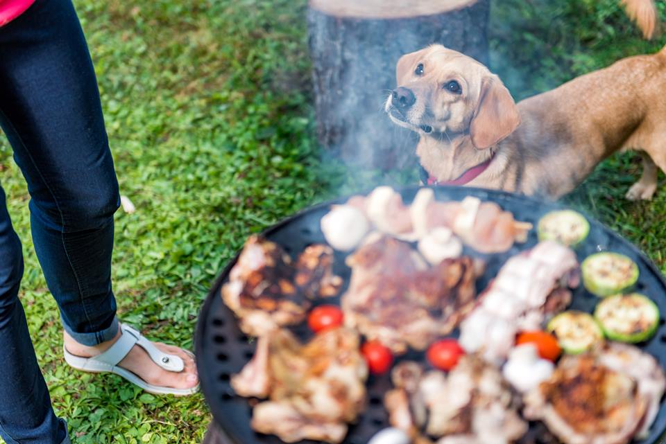 Cachorro no churrasco