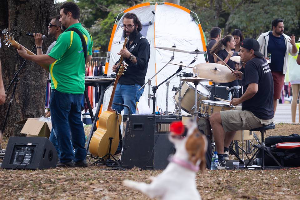 pessoas tocando instrumentos em gramado com cachorro pegando bolinha em primeiro plano - metrópoles