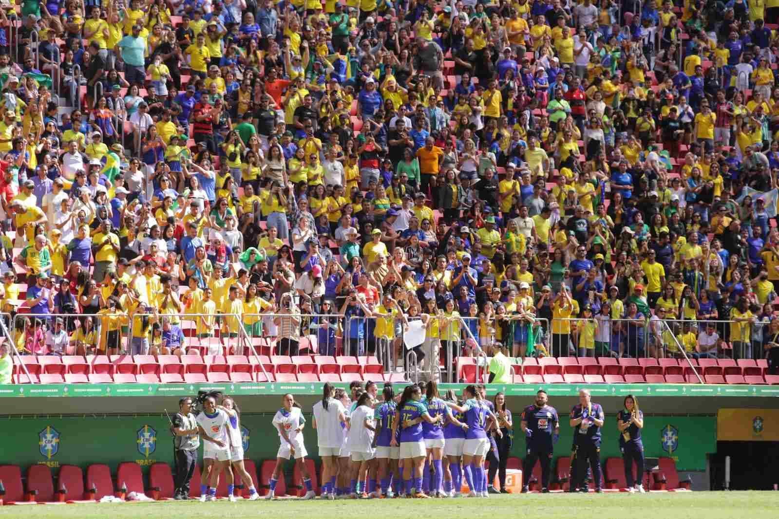 Torcida brasileira no jogo da seleção feminina