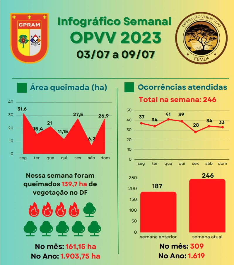 Infográfico Queimadas - Metrópoles