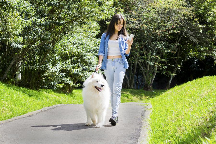 Na foto, jovem passeando com seu cachorro no parque enquanto enviava mensagens de texto no celular - Metrópoles