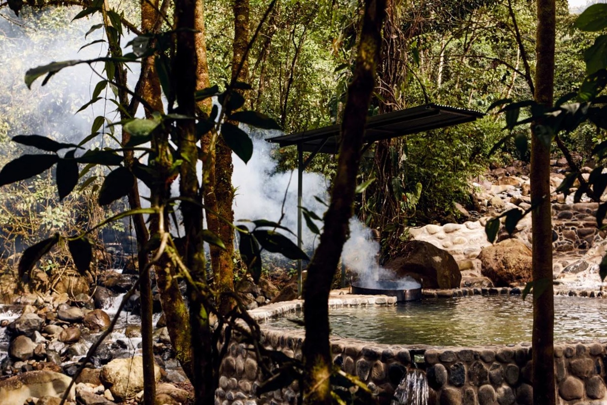 Foto colorida. Com alguns troncos de árvore na frente, a imagem foca em uma piscina redonda de águas naturais verde localizada no meio da floresta- Metrópoles