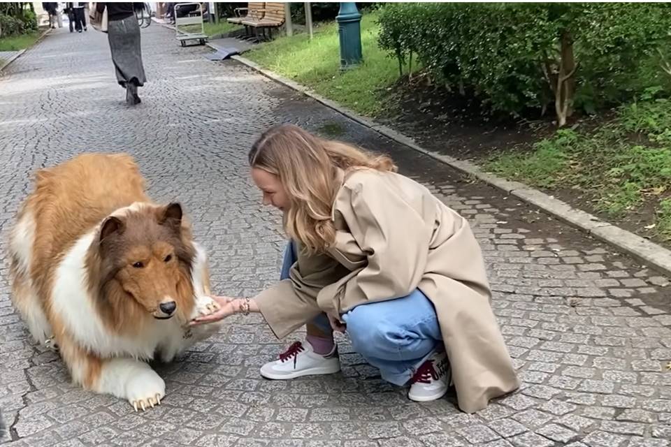 Foto colorida de japonês vestido de cachorro - Metrópoles