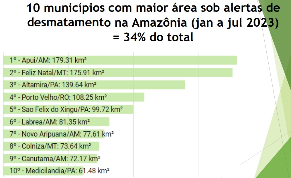 Gráfico das cidades que mais desmataram na Amazônia - Metrópoles