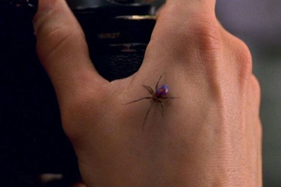 Na foto, uma mão com uma aranha - Metrópoles 