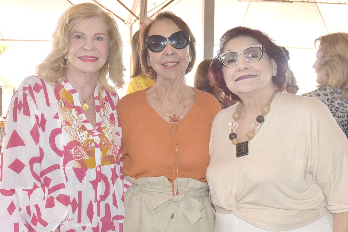 Vera Coimbra, Maria Olímpia Gardino e Marivan Rossi