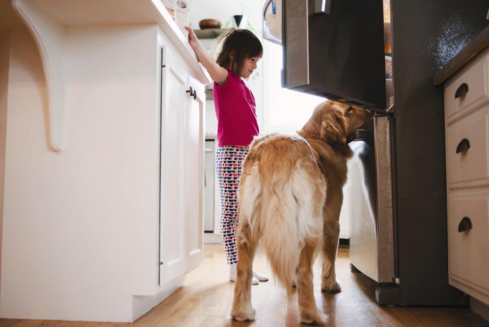 Foto colorida de cachorro e criança olhando para a geladeira - Metrópoles