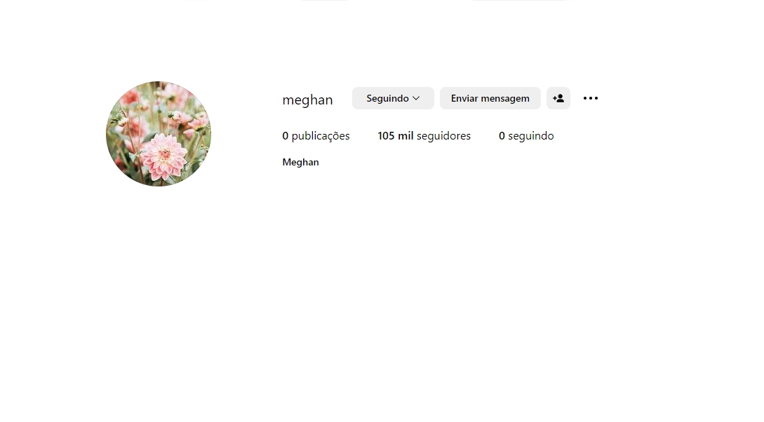 Print de perfil do Instagram, com foto de flores em um círculo - Meghan 