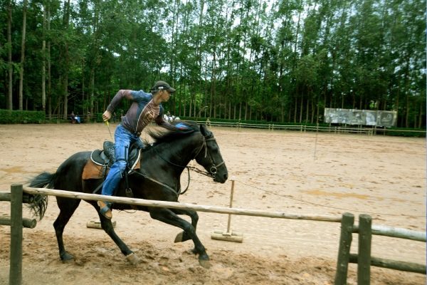 foto colorida de um homem montado em um cavalo - Metrópoles