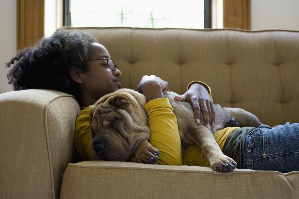 Uma jovem e seu cachorro cochilando em um sofá - Metrópoles