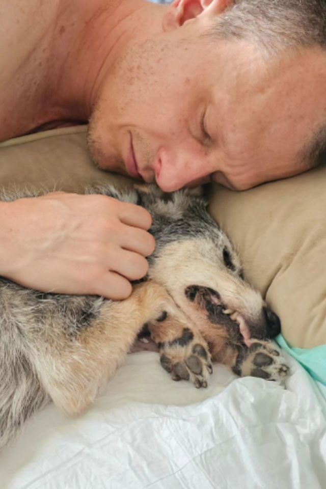 Foto colorida de um homem com um cachorro de pelagem preta e marrom - Metrópoles