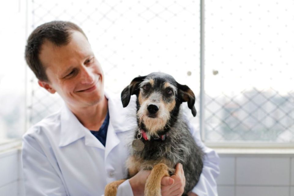 Foto colorida de um homem com um cachorro de pelagem preta e marrom - Metrópoles