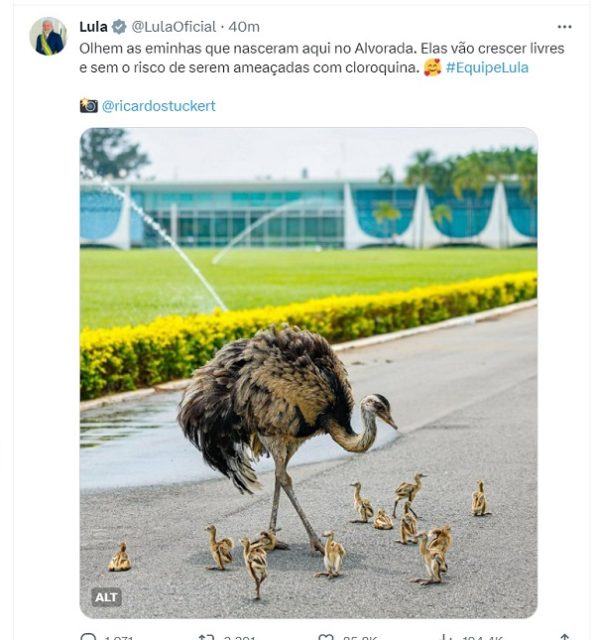 imagem twitter reprodução - metrópoles