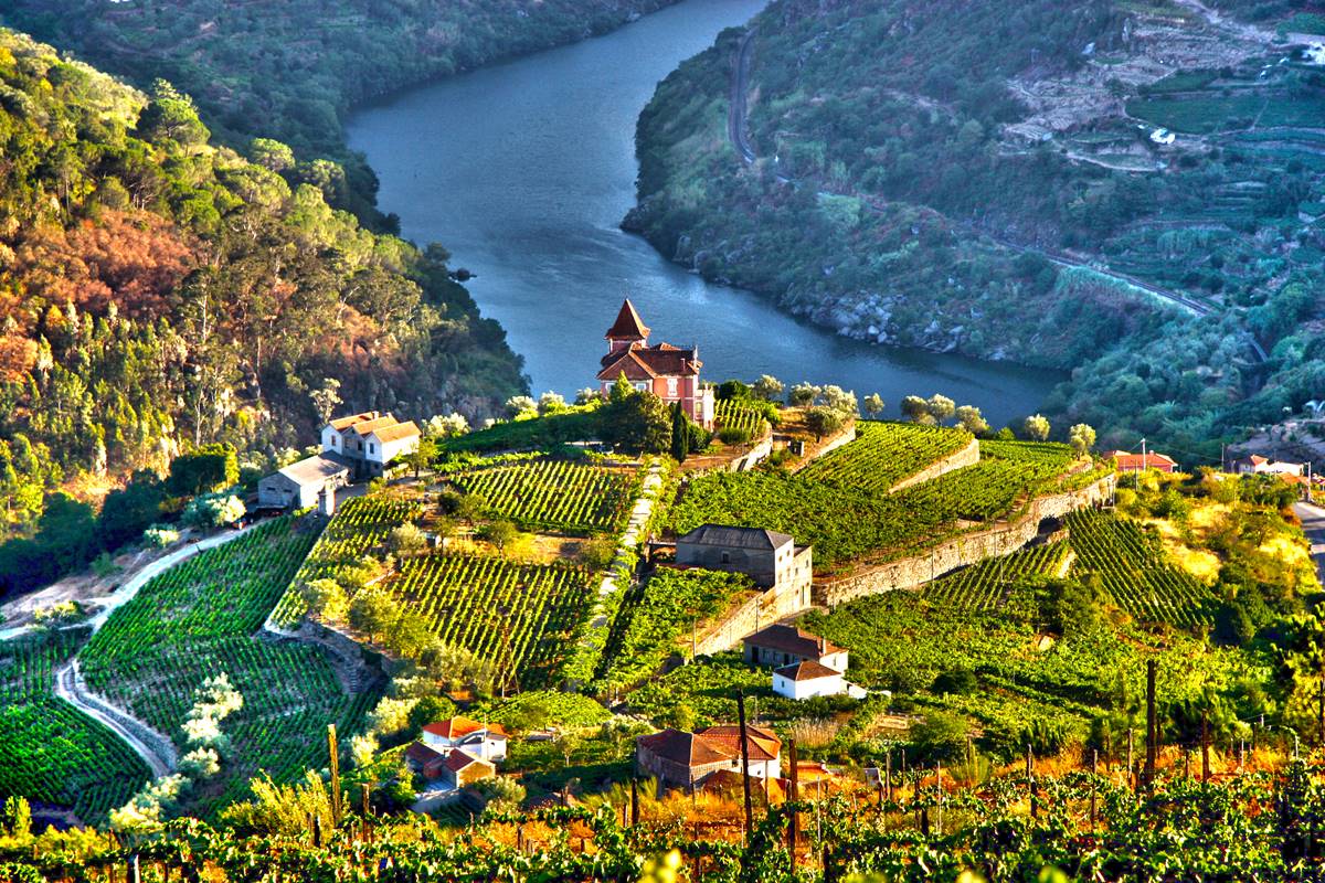 Vista panorÂmica de vista de vinhedo de Portugal - Metrópoles