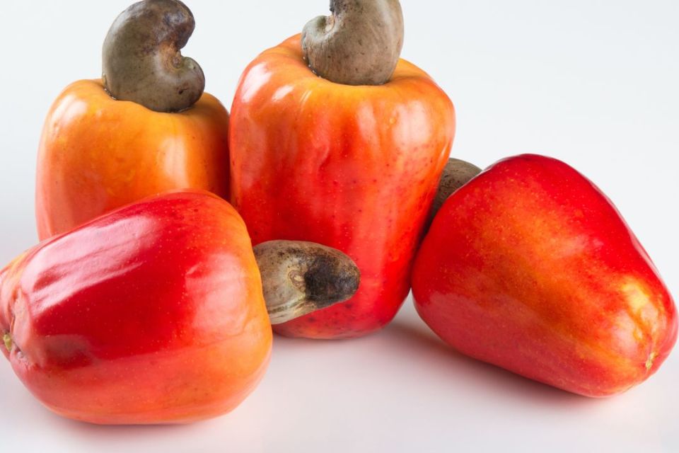 Fruta de caju