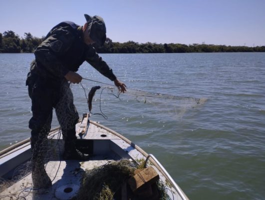 foto colorida de policial ambiental devolvendo ao Rio Paraná, no município de Rosana (SP), peixes pescados de forma irregular - Metrópoles