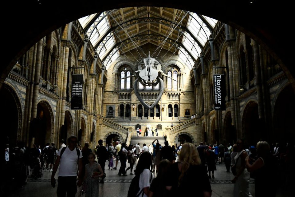 Museu de História Natural de Londres