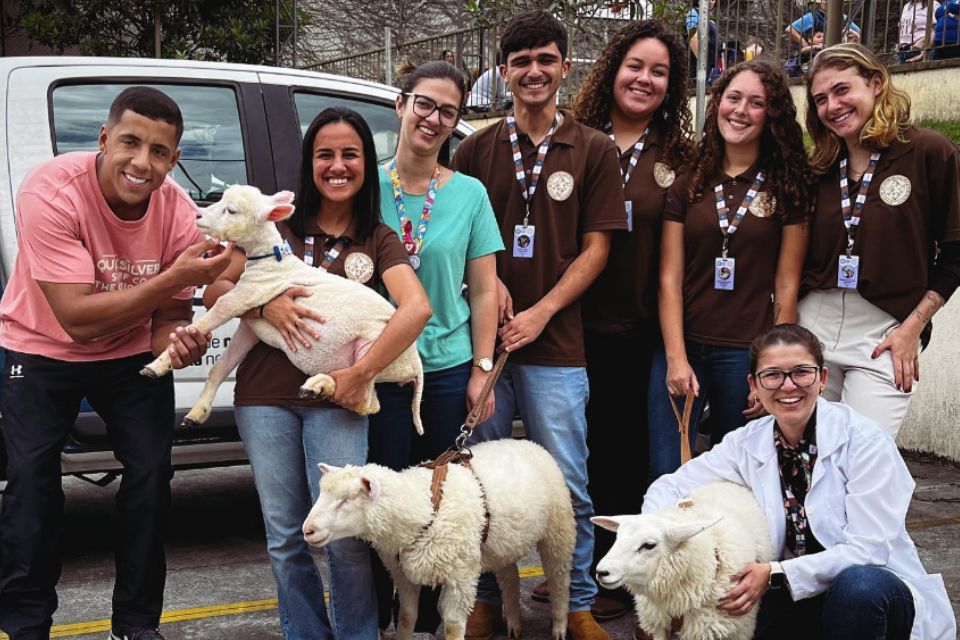 Foto colorida de uma equipe com ovelhas - Metrópoles