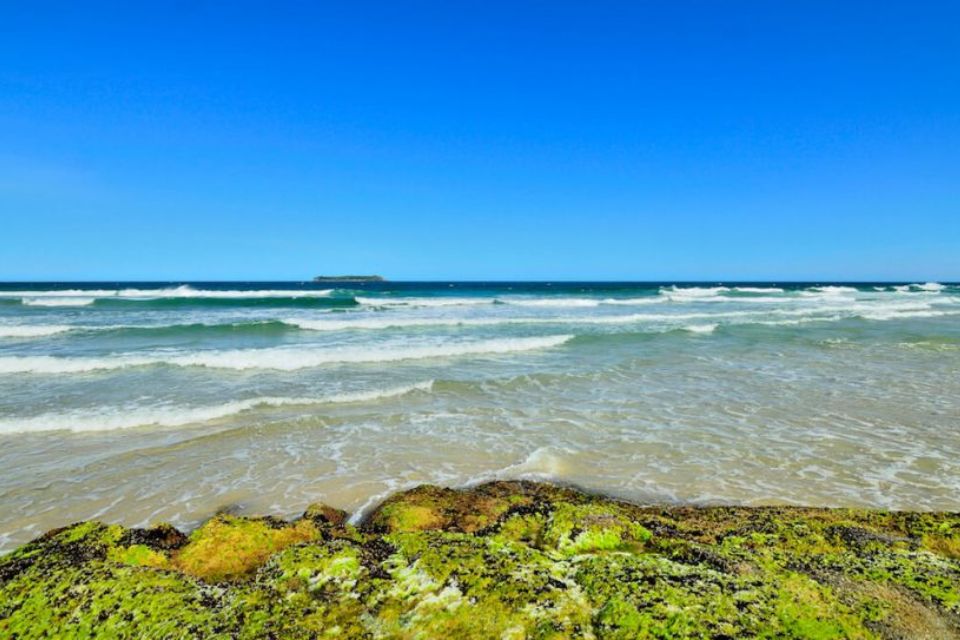 praia de nudismo Galheta, Florianópolis