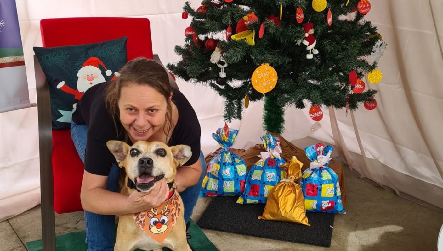 Foto colorida de cachorro idoso para adoção em São Paulo - Metrópoles