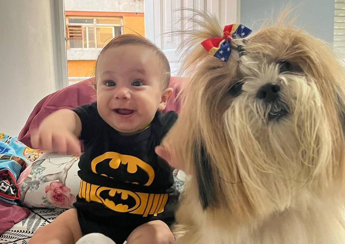 Foto colorida de um bebê vestido de batman ao lado de uma cadela shih-tzu - Metrópoles