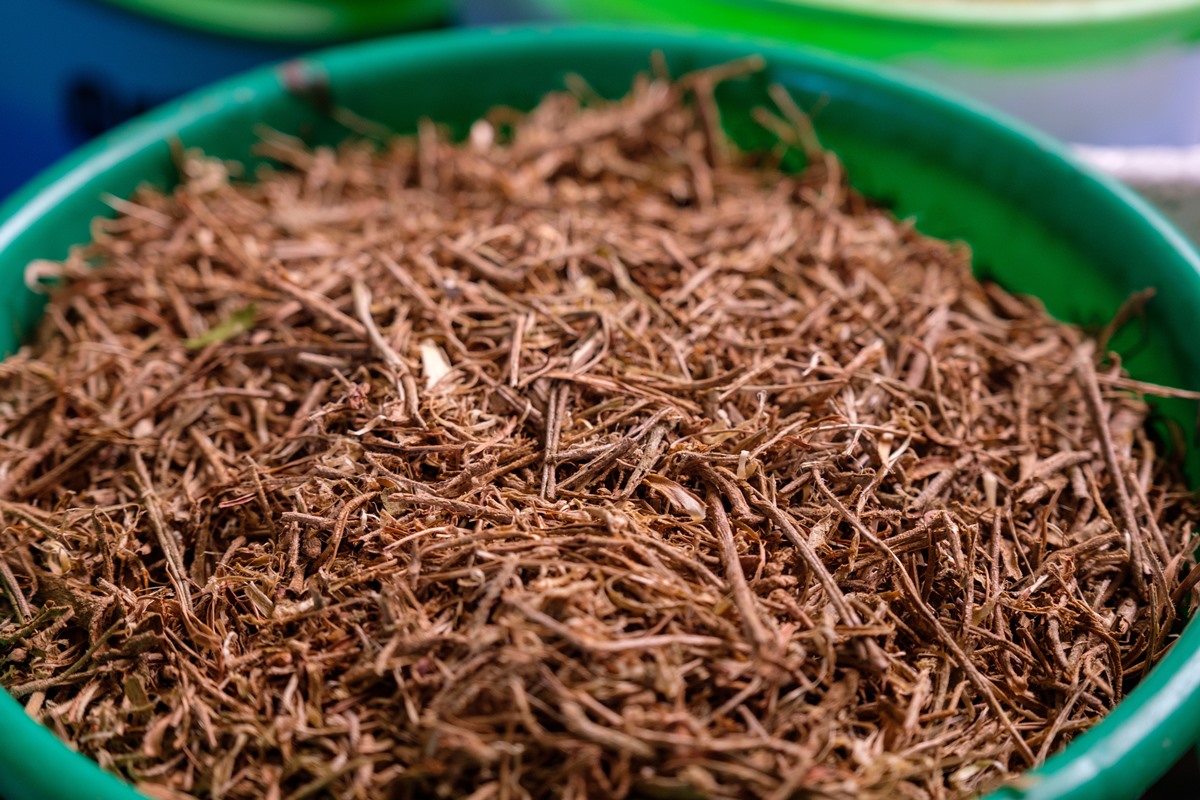 Ashwagandha é um suplemento natural. Ela tem a cor marrom e está dentro de uma vasilha na cor verde - Metrópoles