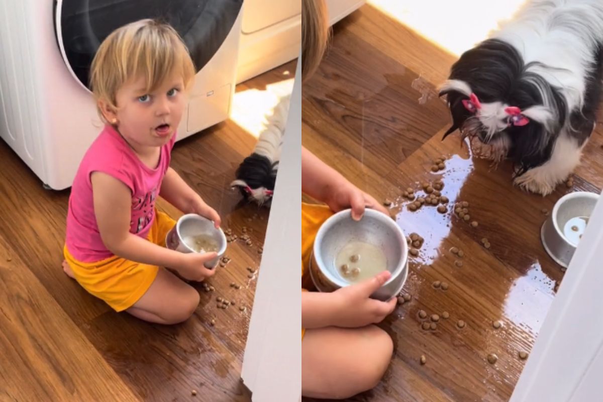 Foto colorida de uma menina comendo ração de cachorro - Metrópoles