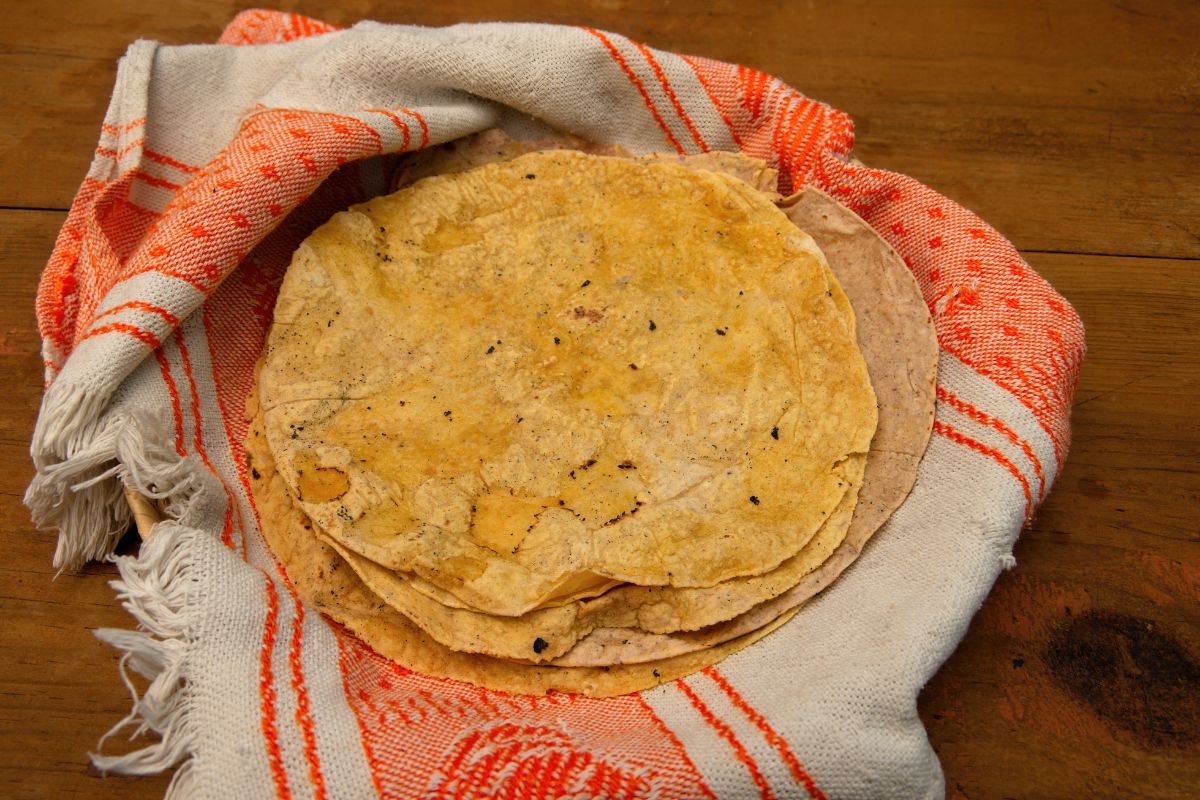 Foto colorida de uma tortilha de milho - Metrópoles