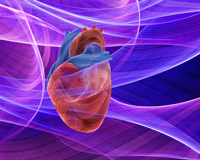 Imagem ilustrativa de coração humano - Metrópoles