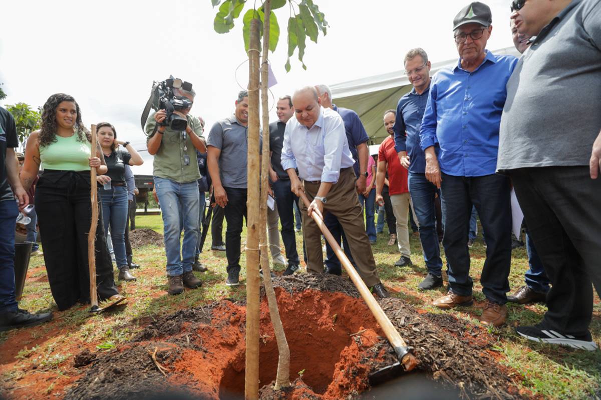 Ibaneis plantando árvore