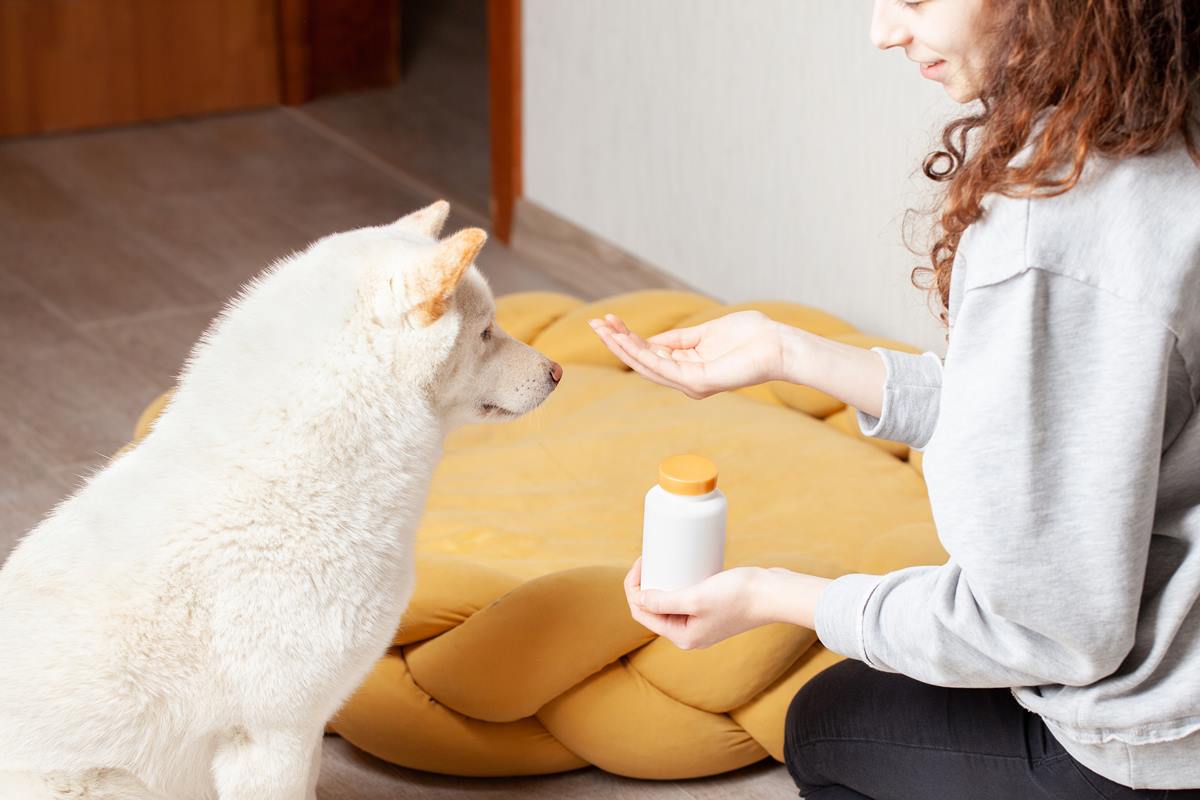 Foto colorida de uma mulher dando comprimido para cachorro - Metrópoles