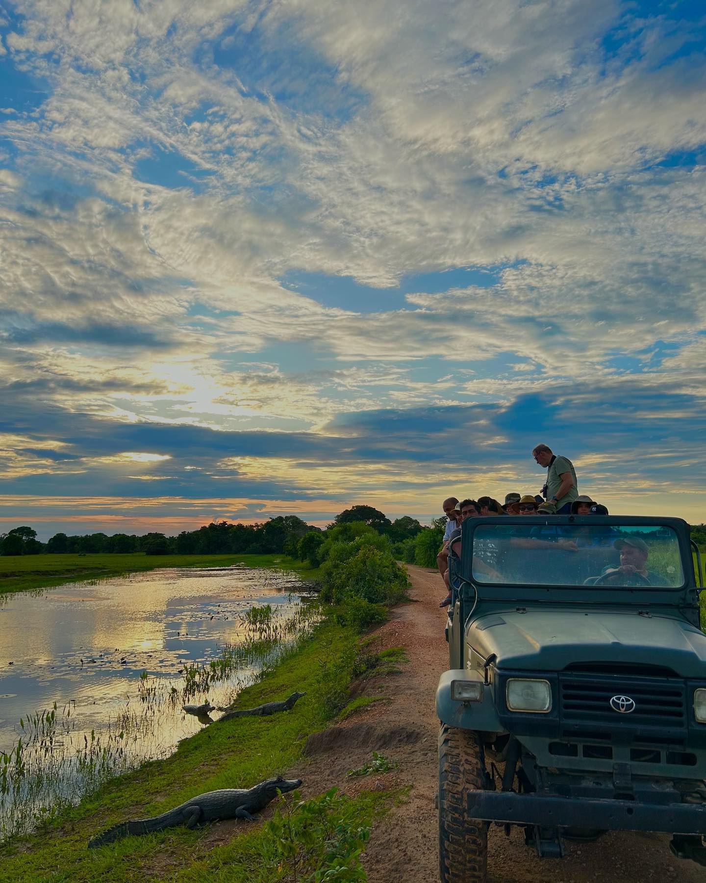 Safari fotográfico na Pousada Aguapé