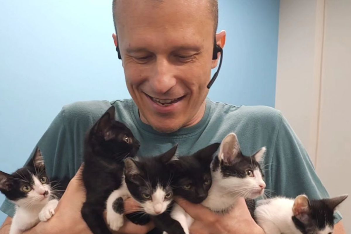 Foto colorida de um homem e gatos - Metrópoles