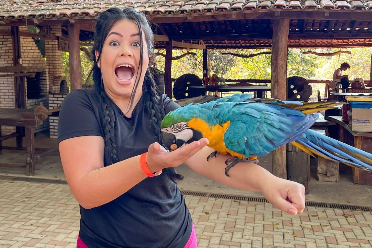 Foto colorida de uma mulher segurando uma arara - Metrópoles