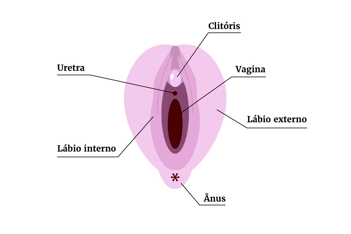 A gente desenhou: homens, aprendam onde fica o clitóris | Metrópoles