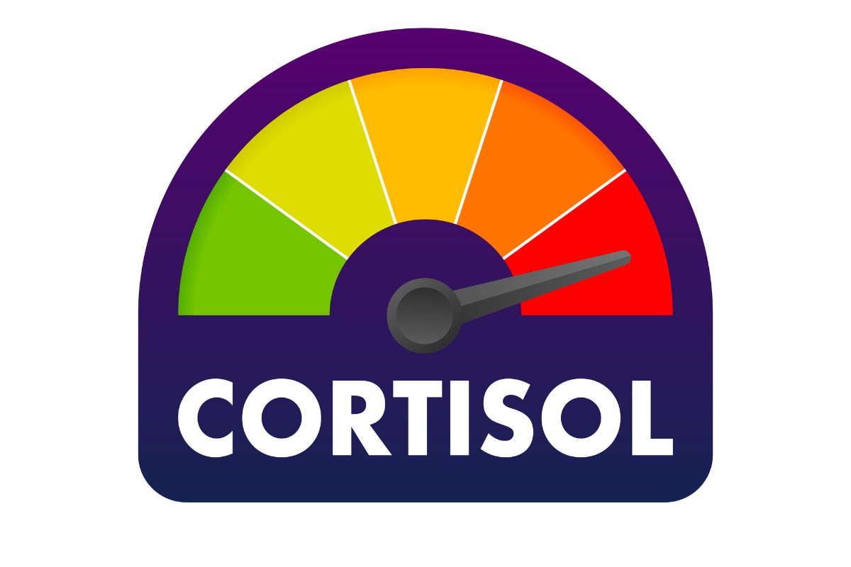 Níveis elevados de cortisol