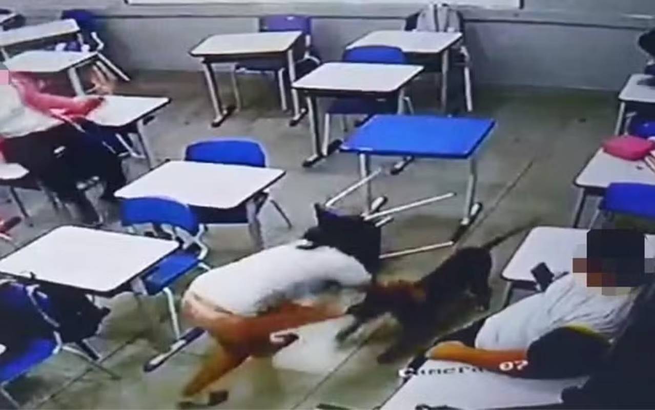 Vídeo forte mostra ataque de cachorro a aluna dentro de escola em GO |  Metrópoles