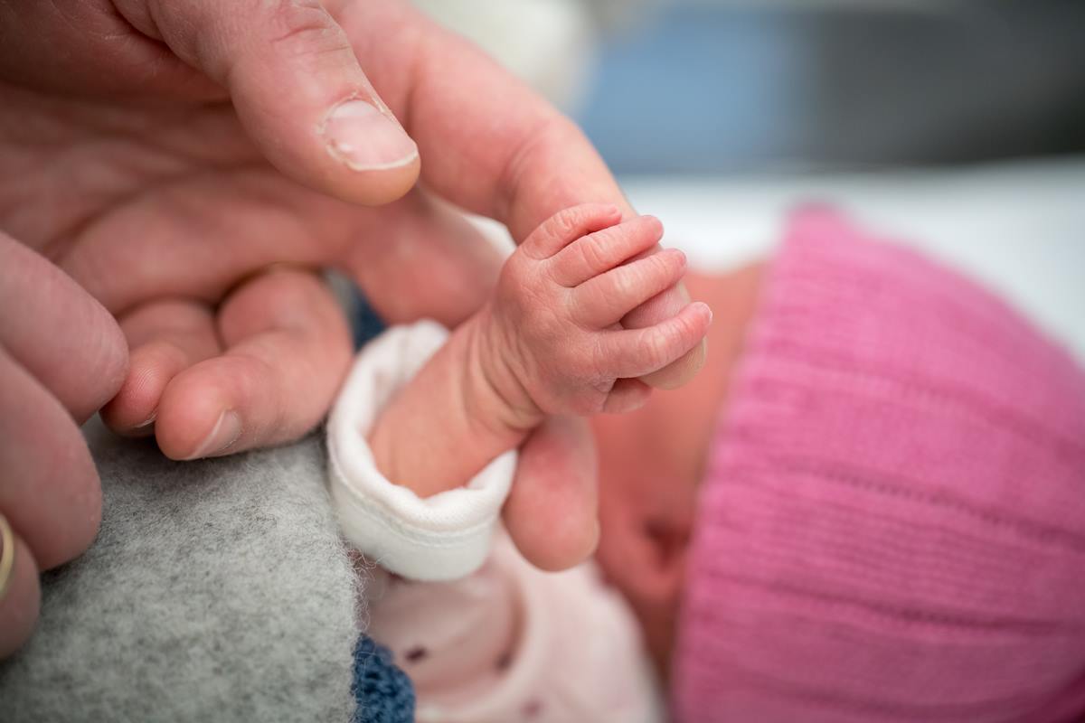 Foto colorida de bebês na maternidade - Metrópoles