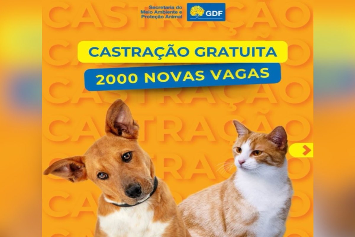 A Secretaria do Meio Ambiente e Proteção Animal do Distrito Federal (Sema-DF), com o apoio da Subsecretaria de Proteção Animal (Supan), anunciou a abertura de 2 mil vagas gratuitas para castração de cães e gatos. A iniciativa tem o intuito de controlar a população de animais e promover a saúde pública.