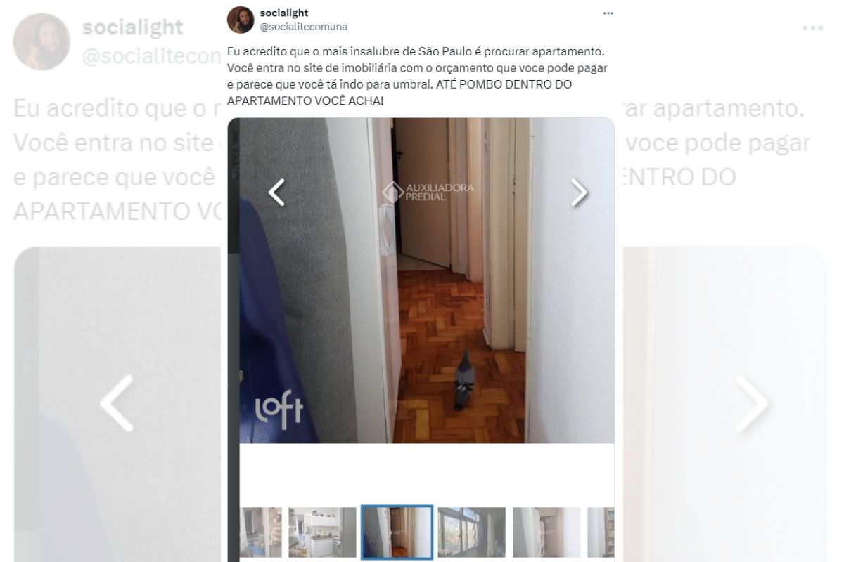 anúncio de imóvel em SP com um pombo no meio