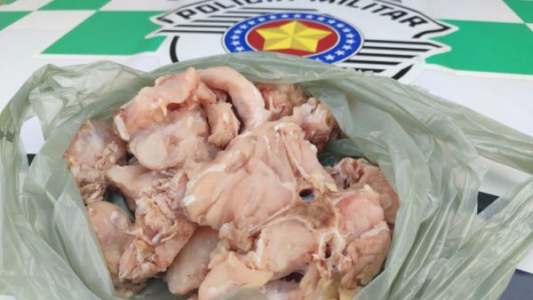 foto colorida de carne de jacaré apreendida pela Polícia Ambiental em Adamantina (SP) - Metrópoles