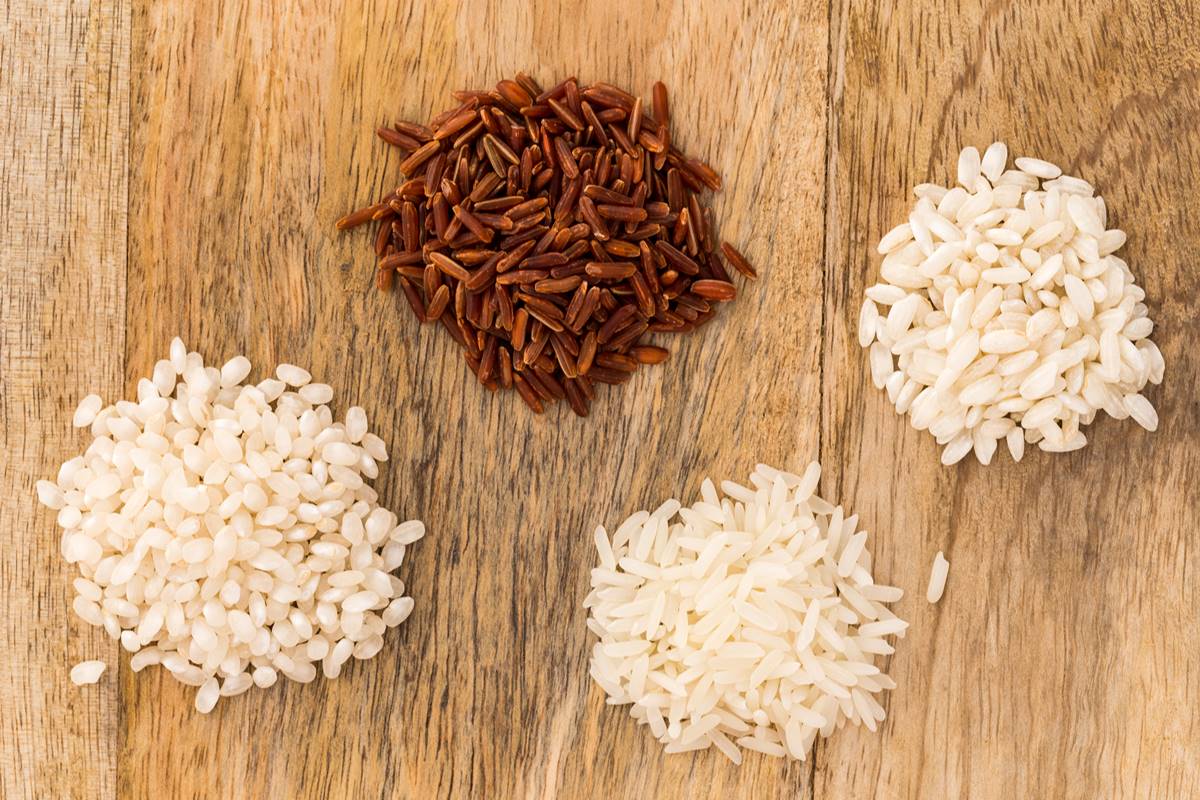 Foto colorida de quatro tipos de arroz - Metrópoles