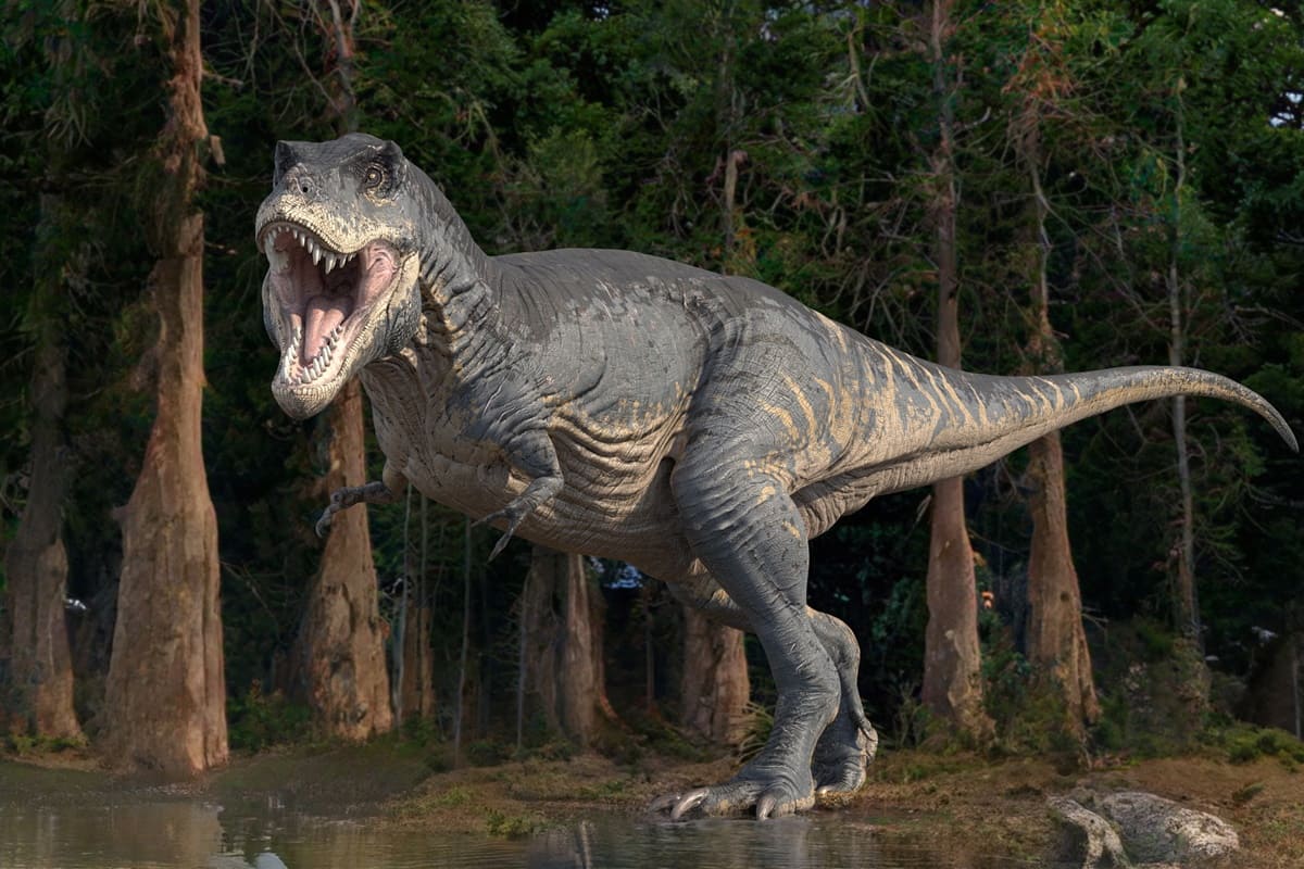 Cicatrizes de dinossauros encontrados no Brasil revelam agressividade