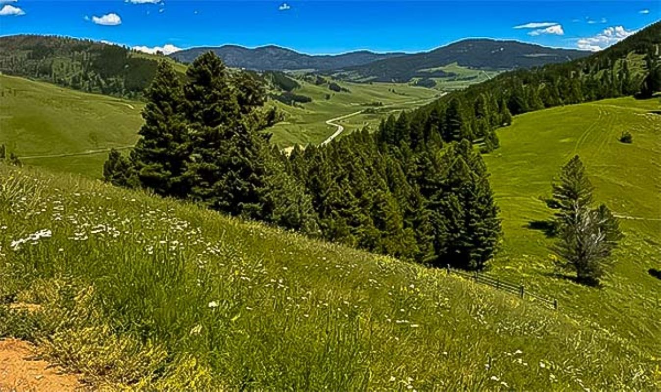 Floresta Nacional Custer Gallatin - Metrópoles