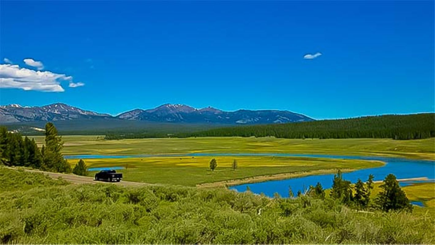 Hutan Shoshone - Metropolis