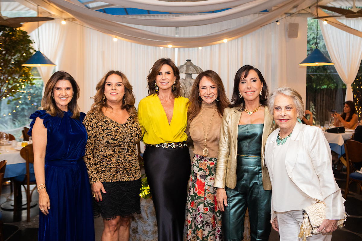 Lara Calaça, Letícia Cunha, Valéria Monsanto, Vania Carvalho, Cleucy Estevão e Izabel Uchoa