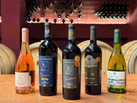 Vinhos especiais da Villa Triacca 